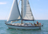 140729 SCOT FREE GBR1443T WT7A1844