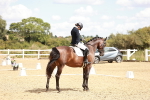 SBM_009924