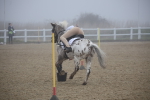 SBM_000946