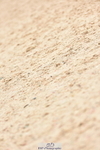 231013A-131346-01746