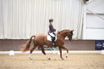 SBM_002813