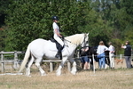 WJ7_9710