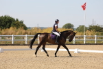 SBM_005772