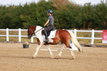 SBM_009296