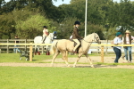 SBM_68827