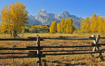 Fenced-in Peaks