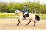 SBM_004323
