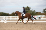 SBM_04769