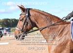 BPP_9369