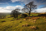 Roach End Cottage