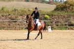 SBM_010495