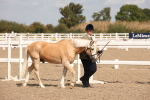 SBM_03374
