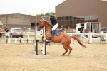 SBM_008040