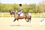 SBM_007989
