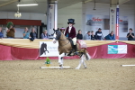 SBM_10493