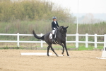 SBM_005950