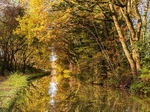 Between Bridges 29 and 30, Macclesfield Canal (1)