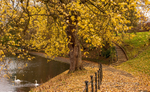Autumn in the Peoples Park
