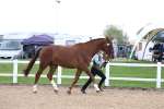 SBM_05037