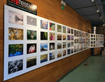 Chania International Photo Festival, 2024, Greece.