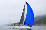 210703 JANGLE GBR3922R 1Y3A0587