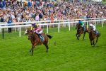 270724-Race 6-Ziggy-7518
