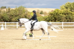SBM_011436