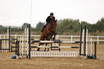 Class 12 - Amateur Championship Qualifier 1.05m portfolio