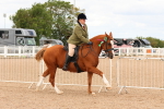 SBM_15627