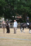 WJ6_8981