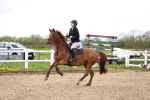 SBM_003959