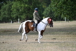 WJ7_7743