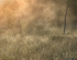 Rising Mist #2