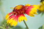 20130922-3K8A6256-2438