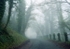 Morning Fog, Worcestershire