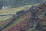 Langdale-6