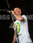 Jersey Live_2012_Good Vibes-120