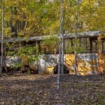 Abandoned Bus