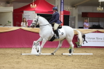 SBM_09375