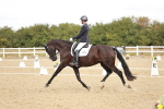 SBM_009593