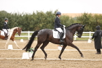 SBM_006699