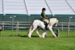 SBM_11594