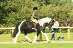 SBM_67431