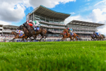 Race 3 Sky Bet City Of York Stakes portfolio