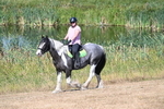 WJ7_8015