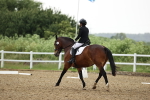 SBM_000453