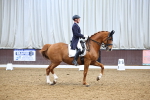 SBM_008990