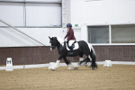 SBM_005706