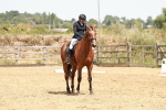 SBM_003610