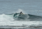DSC_5377